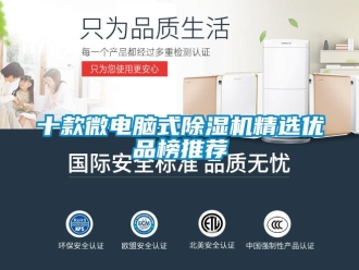 行業(yè)新聞十款微電腦式除濕機精選優(yōu)品榜推薦