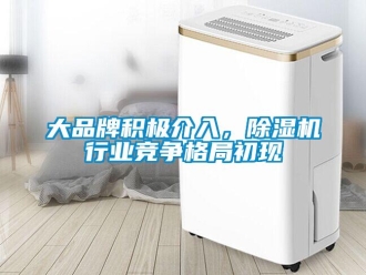 企業新聞大品牌積極介入，除濕機行業競爭格局初現