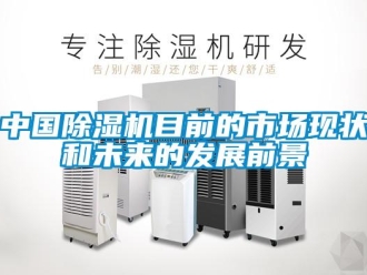 行業新聞中國除濕機目前的市場現狀和未來的發展前景