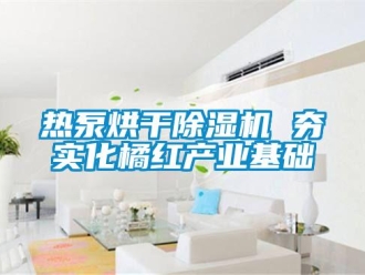 行業新聞熱泵烘干除濕機 夯實化橘紅產業基礎