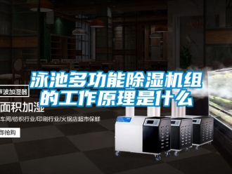 行業新聞泳池多功能除濕機組的工作原理是什么