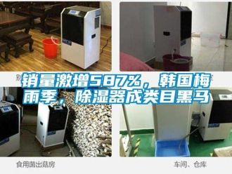 行業(yè)新聞銷量激增587%，韓國梅雨季，除濕器成類目黑馬