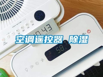 行業(yè)新聞空調(diào)遙控器 除濕