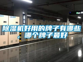 行業(yè)新聞除濕機(jī)好用的牌子有哪些，哪個(gè)牌子最好