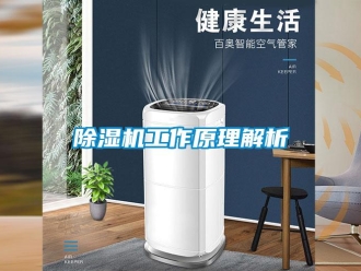 常見問題除濕機工作原理解析