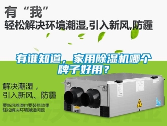常見問題有誰知道，家用除濕機哪個牌子好用？