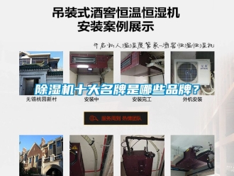 企業新聞除濕機十大名牌是哪些品牌？