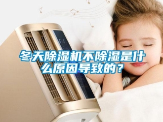 企業新聞冬天除濕機不除濕是什么原因導致的？