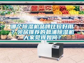 企業(yè)新聞哪個除濕機品牌比較好用？鄰居推薦的碧浦除濕機大家覺得如何？