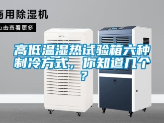 常見問題高低溫濕熱試驗箱六種制冷方式，你知道幾個？
