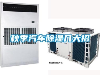行業新聞秋季汽車除濕幾大招