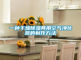 行業新聞一種干燥除濕兩用空氣凈化器的制作方法