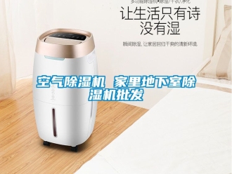 行業(yè)新聞空氣除濕機(jī) 家里地下室除濕機(jī)批發(fā)
