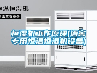 知識百科恒濕機工作原理(酒窖專用恒溫恒濕機設備)