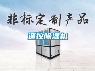 行業新聞遙控除濕機
