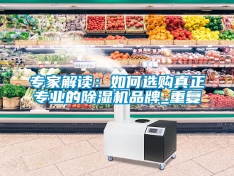 企業新聞專家解讀：如何選購真正專業的除濕機品牌_重復