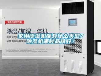 企業(yè)新聞家用除濕機(jī)都有什么類型？除濕機(jī)哪種品牌好？