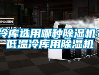 行業(yè)新聞冷庫選用哪種除濕機(jī)？低溫冷庫用除濕機(jī)