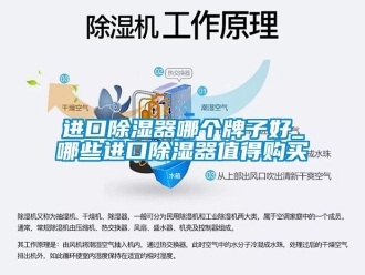 行業(yè)新聞進(jìn)口除濕器哪個(gè)牌子好_哪些進(jìn)口除濕器值得購(gòu)買