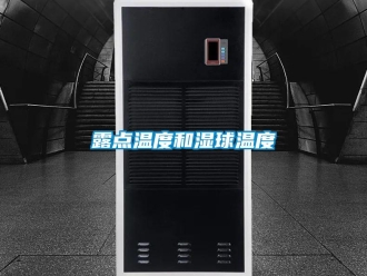 行業(yè)新聞露點溫度和濕球溫度