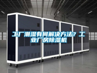 常見問題工廠潮濕有何解決方法？工業廠房除濕機
