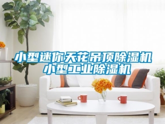 常見問題小型迷你天花吊頂除濕機 小型工業(yè)除濕機