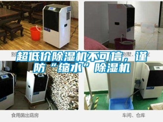 企業新聞超低價除濕機不可信，謹防“縮水”除濕機