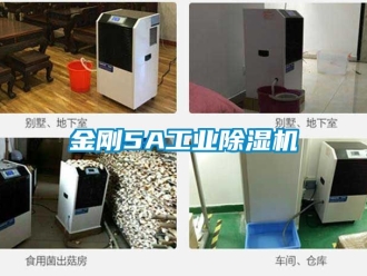 常見問題金剛5A工業除濕機