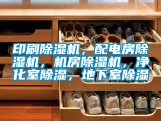 行業(yè)新聞?dòng)∷⒊凉駲C(jī)，配電房除濕機(jī)，機(jī)房除濕機(jī)，凈化室除濕，地下室除濕