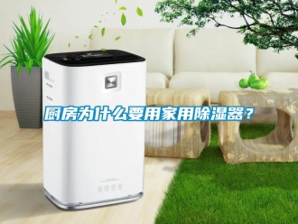行業新聞廚房為什么要用家用除濕器？