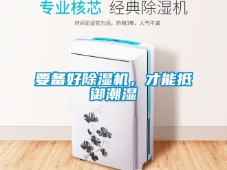 知識百科要備好除濕機，才能抵御潮濕