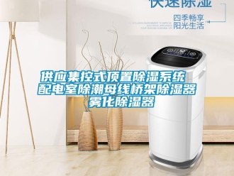 行業新聞供應集控式頂置除濕系統 配電室除潮母線橋架除濕器 霧化除濕器