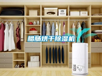 行業(yè)新聞臘腸烘干除濕機(jī)