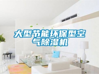 行業(yè)新聞大型節(jié)能環(huán)保型空氣除濕機(jī)