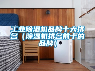 常見問題工業除濕機品牌十大排名（除濕機排名前十的品牌）