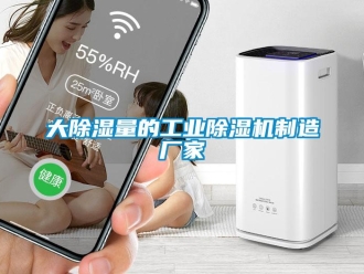 企業(yè)新聞大除濕量的工業(yè)除濕機制造廠家