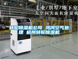 常見問題轉輪除濕機公司 鴻河空氣處理 杭州轉輪除濕機