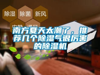 行業新聞南方夏天太潮了，推薦幾個除濕氣很厲害的除濕機