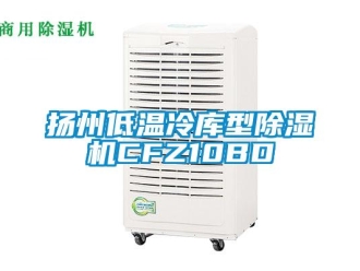 行業新聞揚州低溫冷庫型除濕機CFZ10BD
