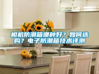 常見問題相機防潮箱哪種好？如何選購？電子防潮箱技術評測