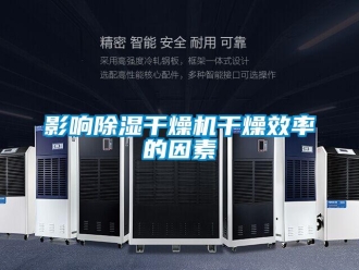 行業新聞影響除濕干燥機干燥效率的因素