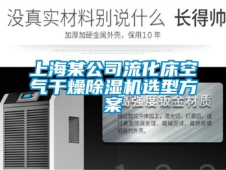 行業新聞上海某公司流化床空氣干燥除濕機選型方案