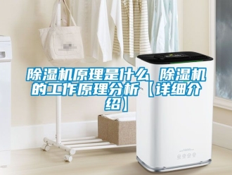 行業(yè)新聞除濕機(jī)原理是什么 除濕機(jī)的工作原理分析【詳細(xì)介紹】