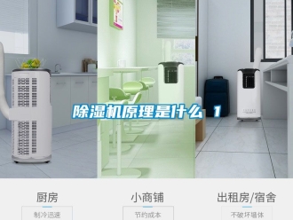 行業(yè)新聞除濕機(jī)原理是什么 1