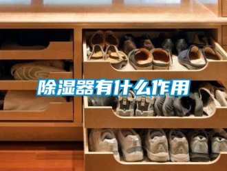 行業(yè)新聞除濕器有什么作用