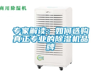 常見問題專家解讀：如何選購真正專業(yè)的除濕機品牌