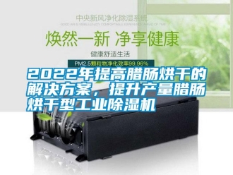 常見問題2022年提高臘腸烘干的解決方案，提升產量臘腸烘干型工業除濕機