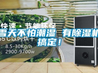 行業新聞積雪天不怕潮濕 有除濕機就搞定！
