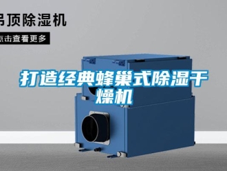 行業新聞打造經典蜂巢式除濕干燥機