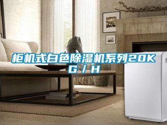 行業新聞柜機式白色除濕機系列20KG／H